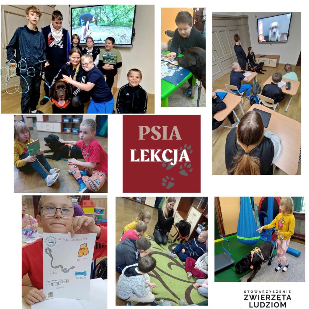 “Psia lekcja”